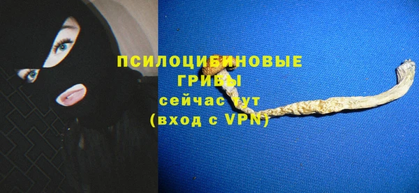 скорость Богородск